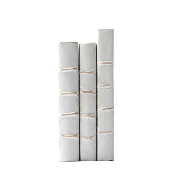 Spines of White Parchment Decorative Book Set