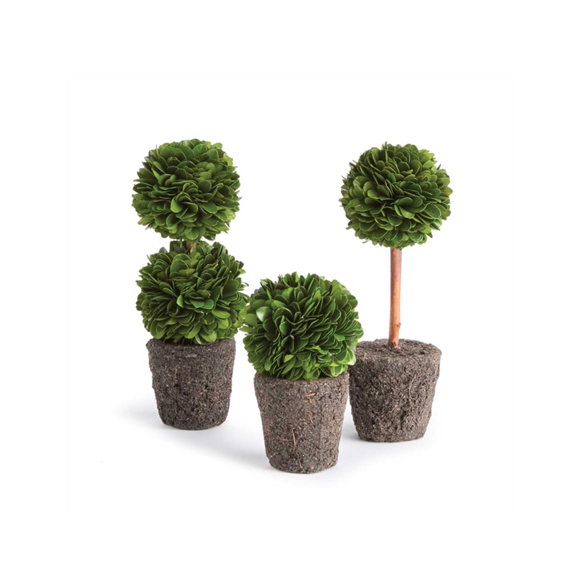 Mini Boxwood Topiary Drop-Ins