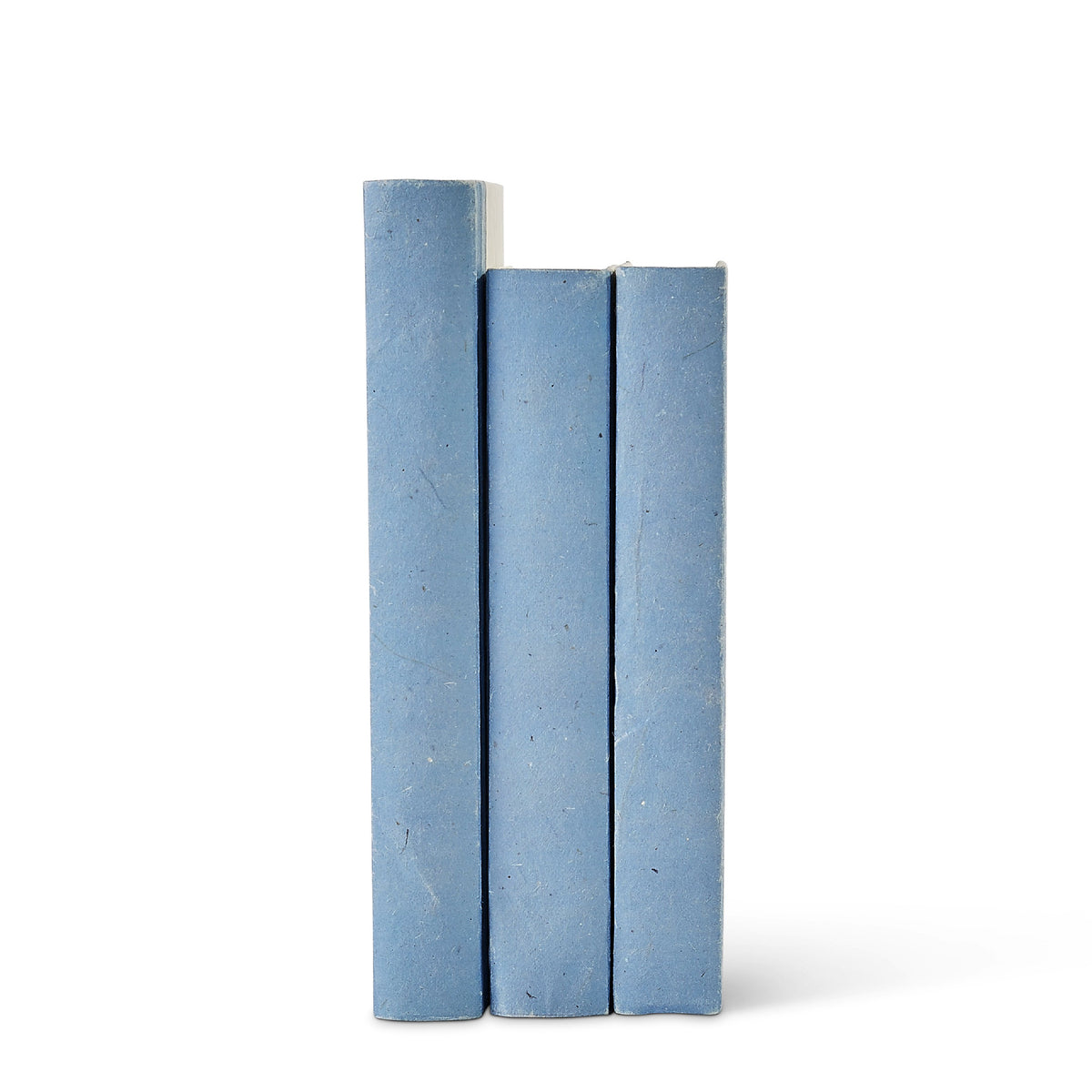 French Blue Parchment Decorative Book Set