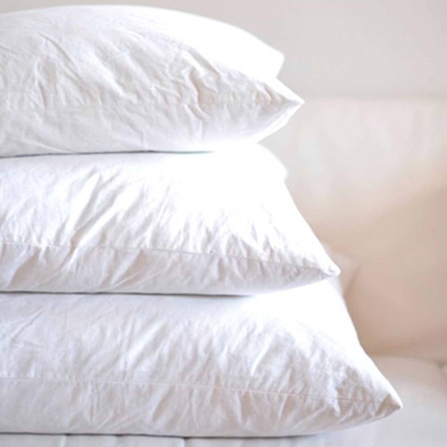 Premium Down Feather Throw Pillow Inserts