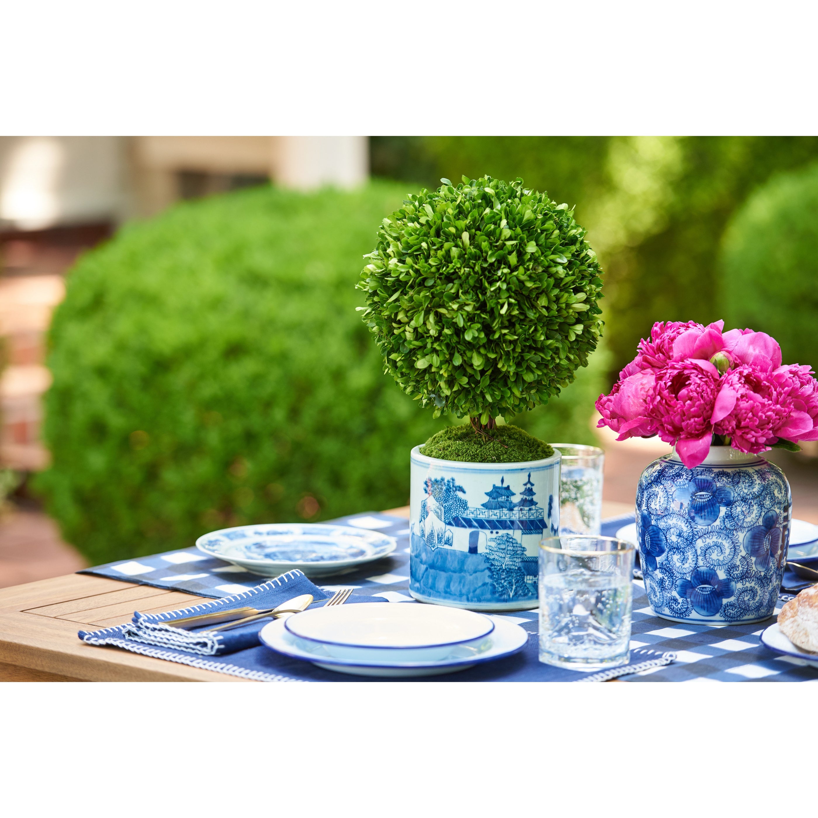 Boxwood Topiary in Cylindrical Blue and White Pot in Outdoor Dining