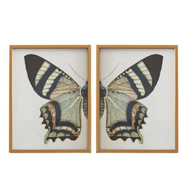 Vintage Butterfly Diptych Art Prints