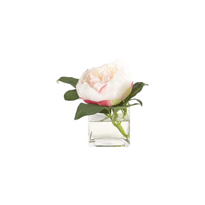 Artificial Pink Peony Flower in Clear Square Vase