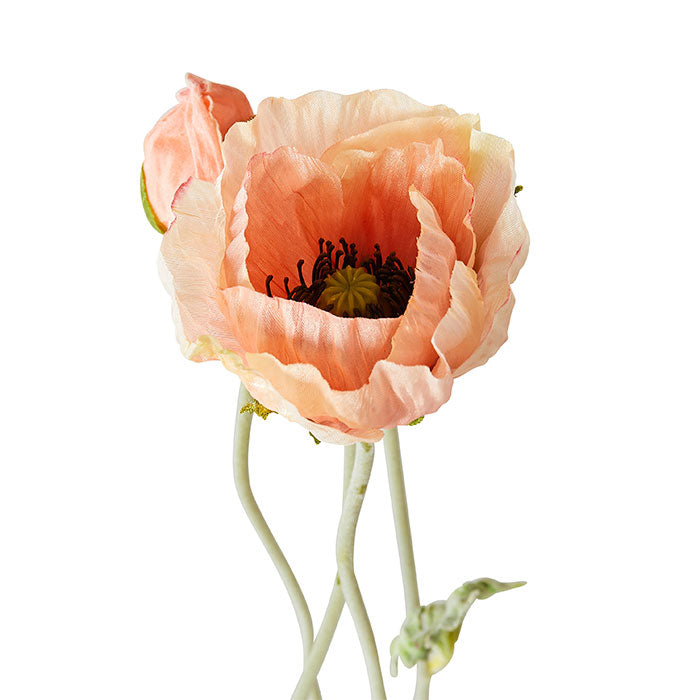 Terracotta Poppies in Pink