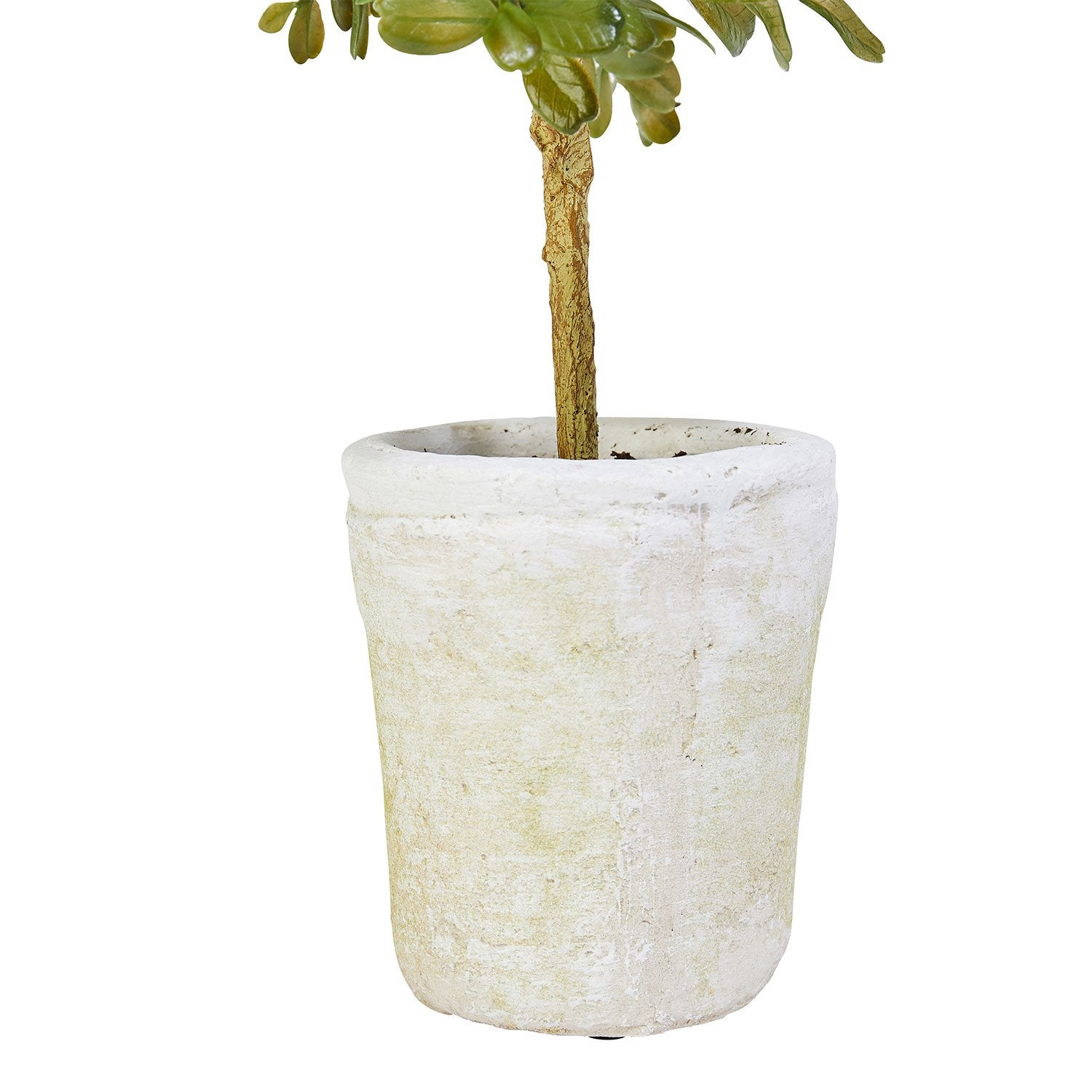 White Terracotta Pot with Artificial Boxwood Topiary