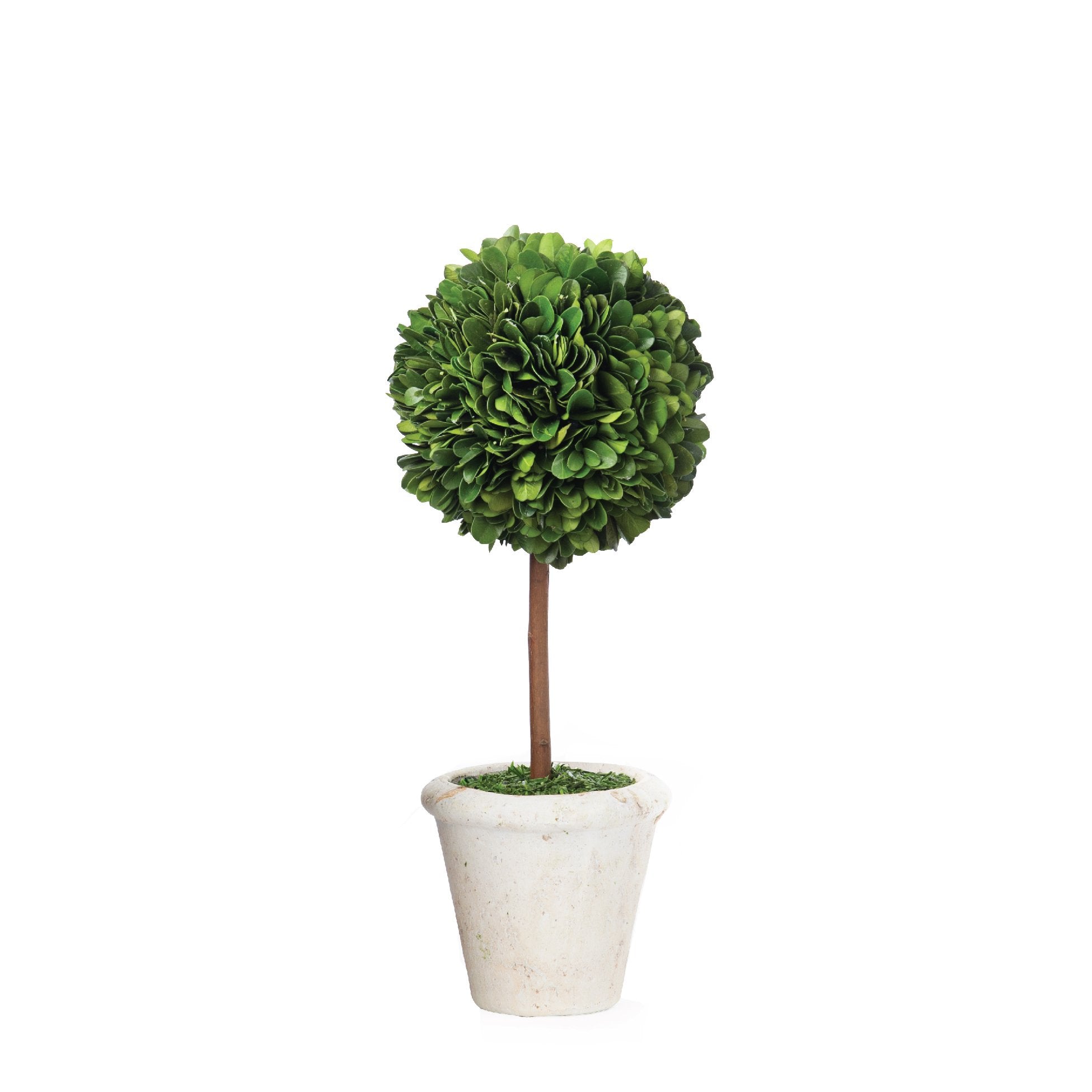 Mini Faux Boxwood Topiary
