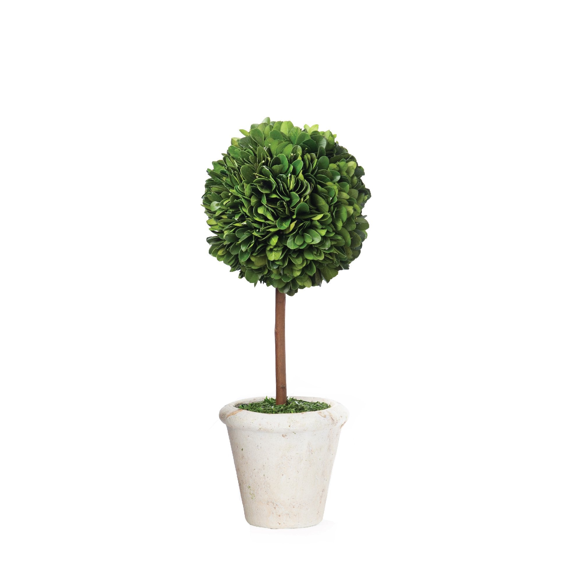 plastic boxwood plants Default Title