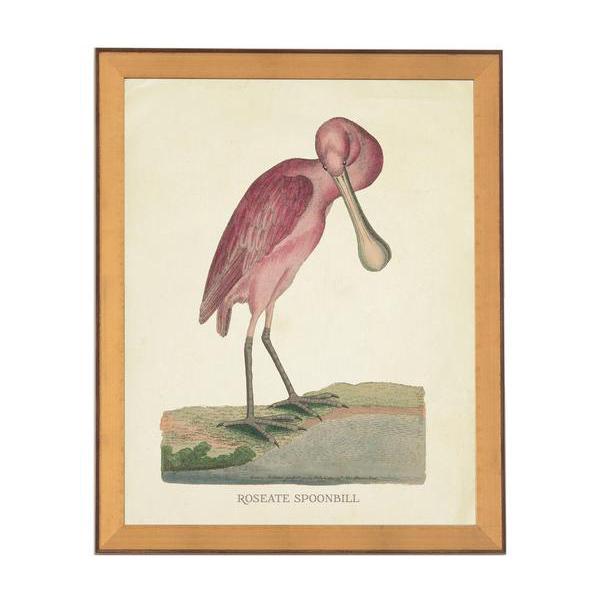 Flamingo Print  Caitlin Wilson
