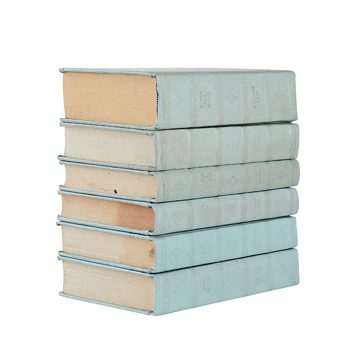 Set of 6 Leather Book Stack