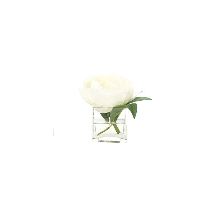 Small Faux White Peony Rose in Square Vessel
