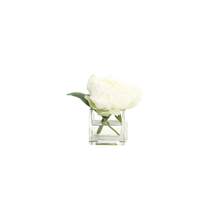 Small Artificial White Peony in Clear Square Vase