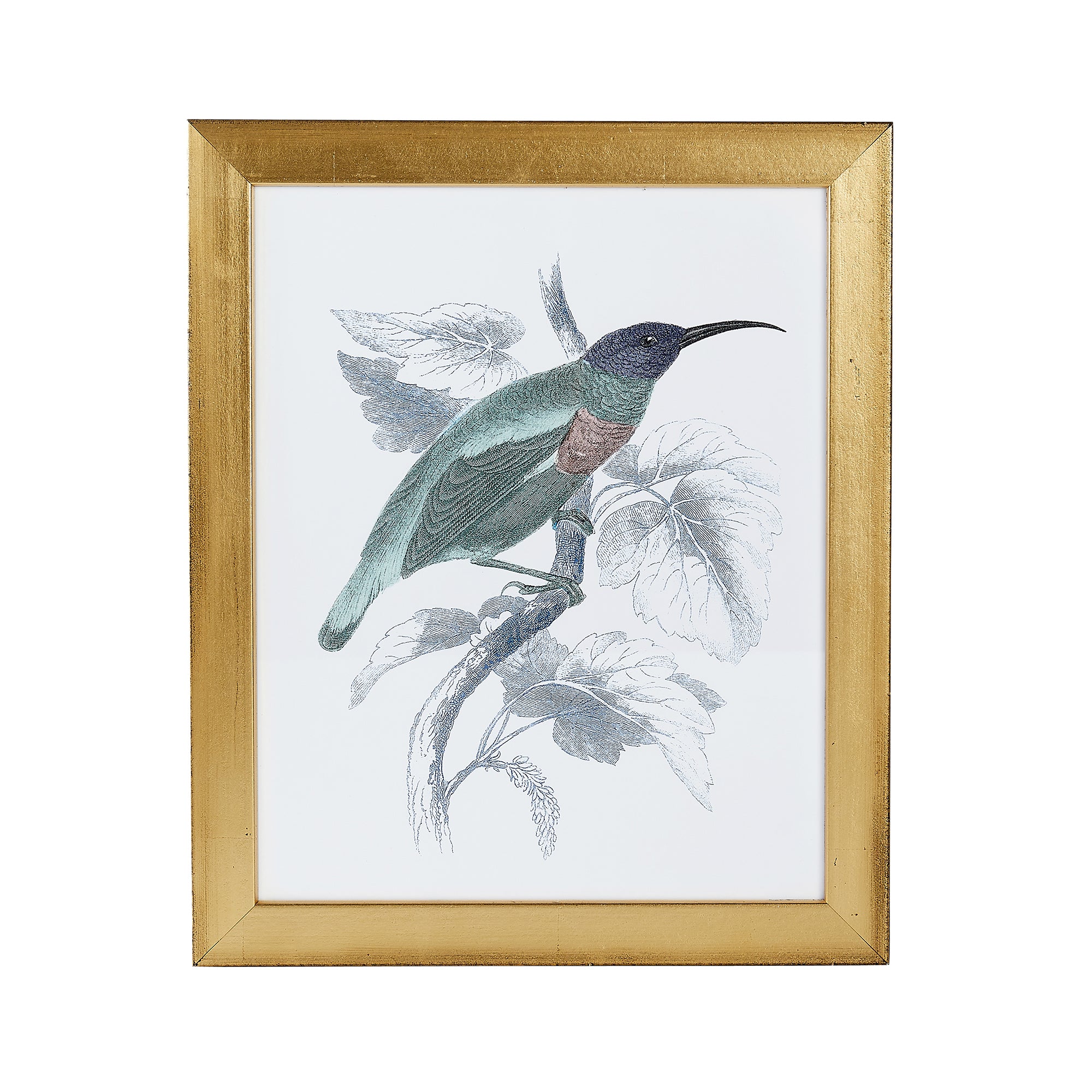 Hummingbird Print IV