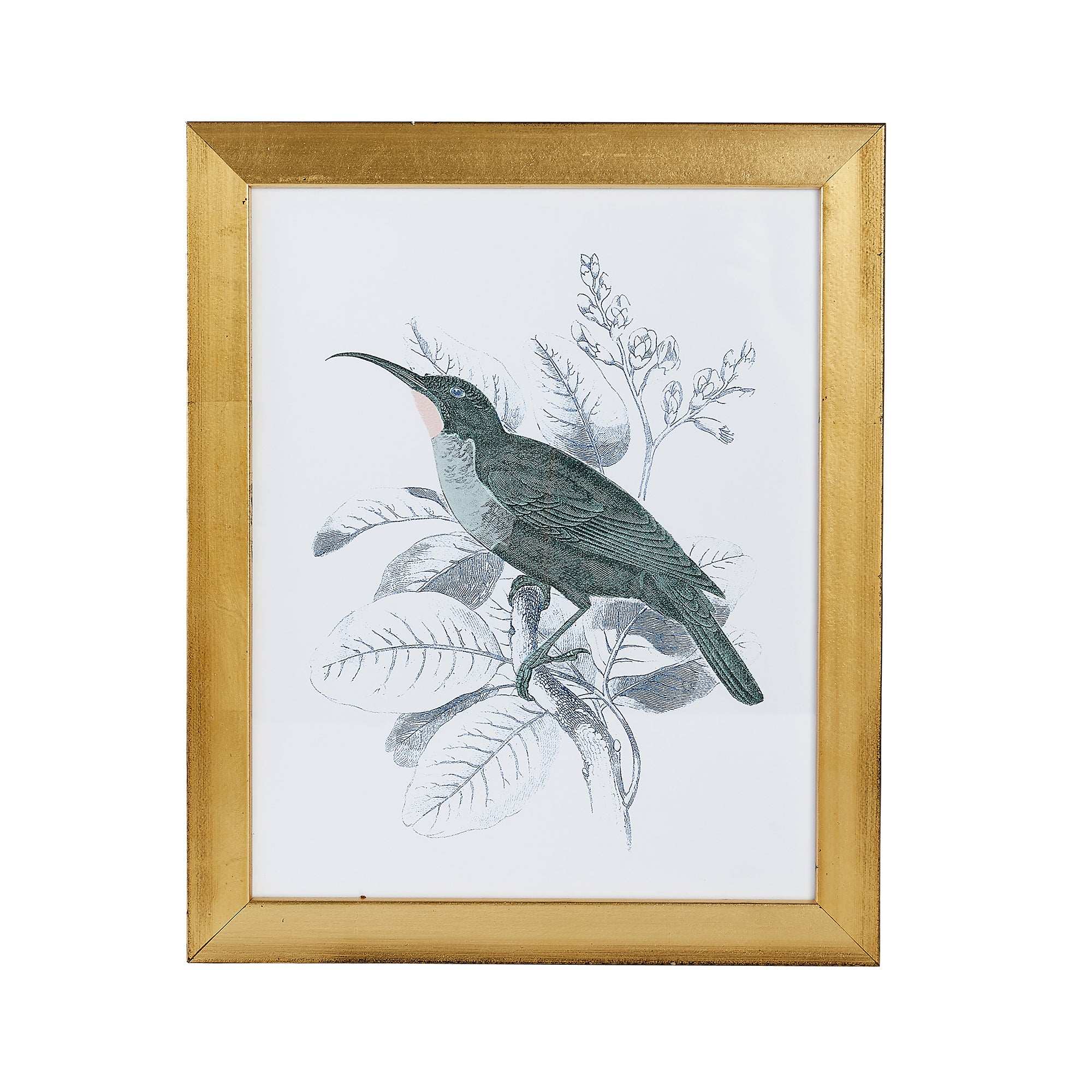 Hummingbird Print III