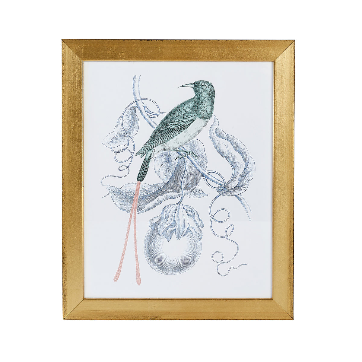Hummingbird Print I