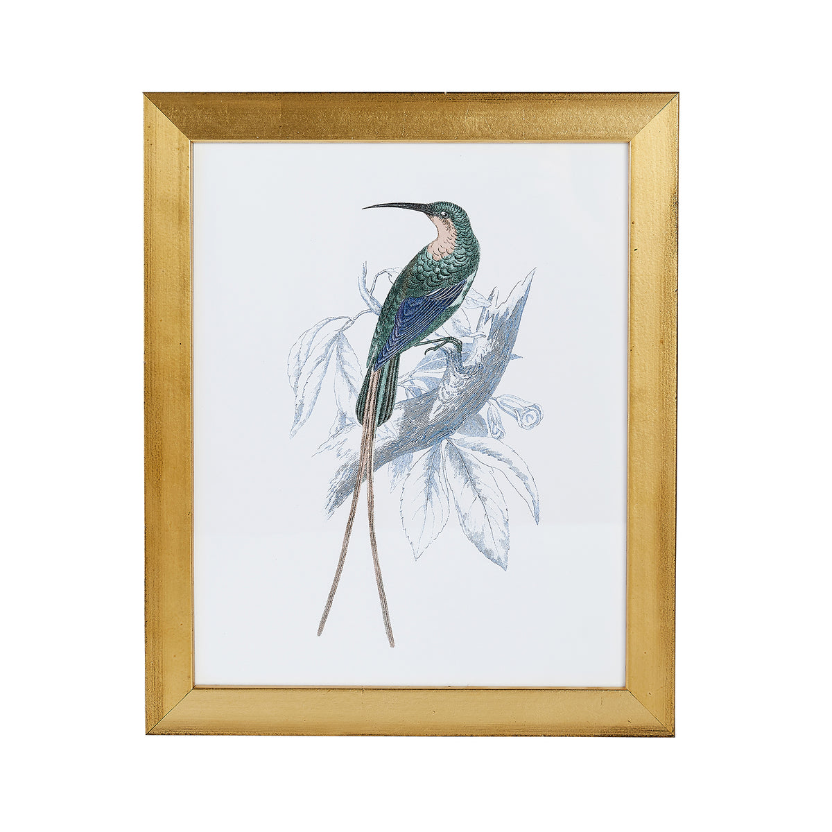 Hummingbird Print V