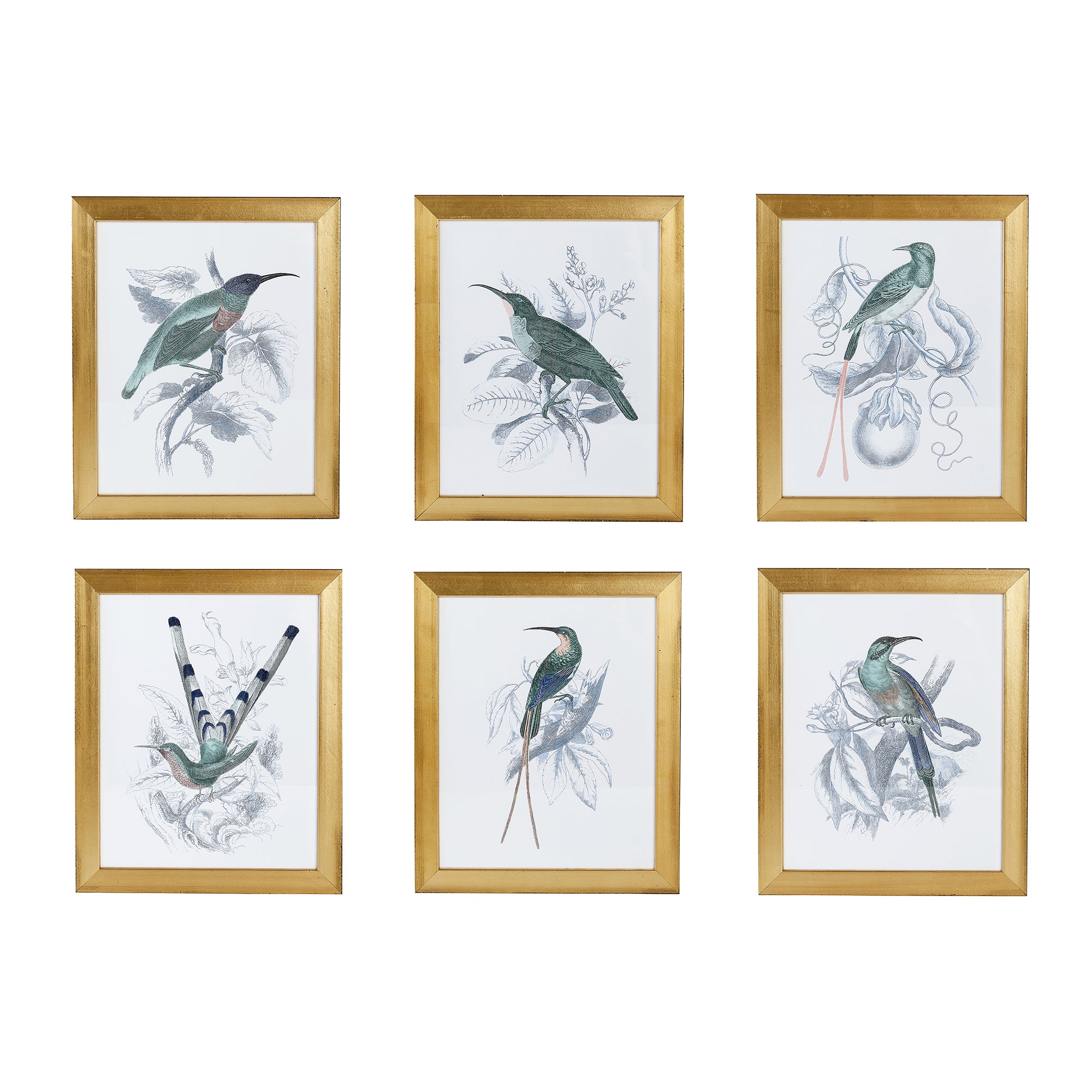 Hummingbird Print Set