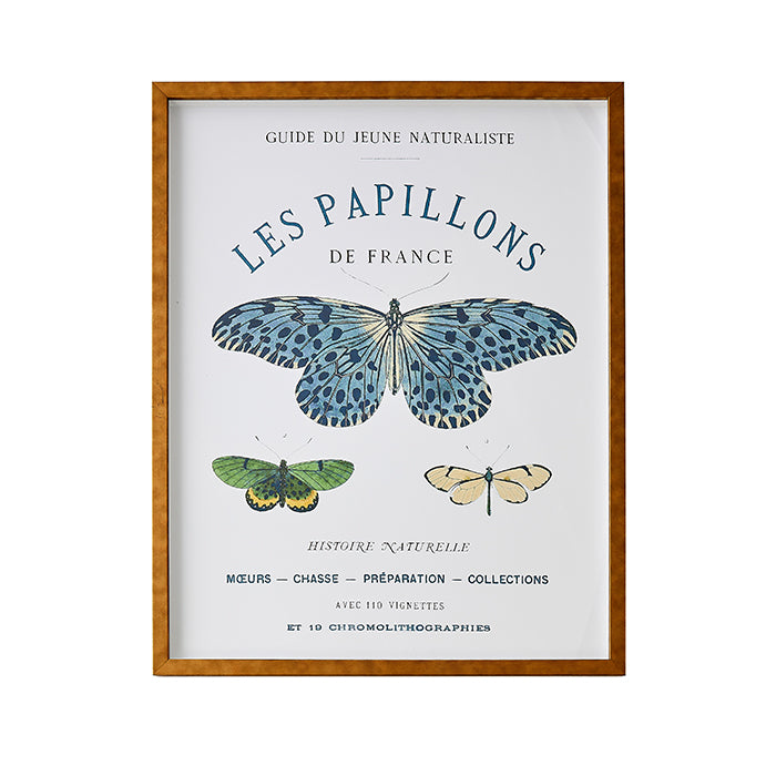 Les Papillons