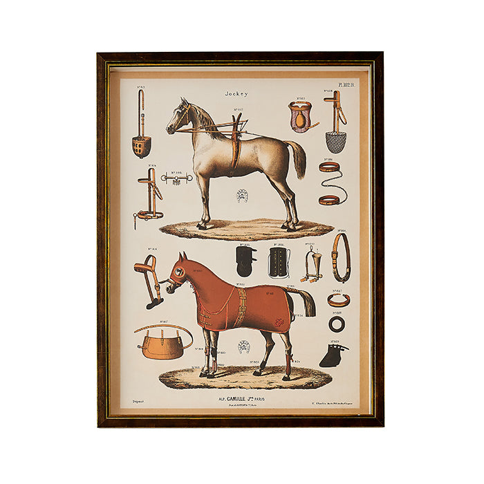 Equestrian Print II