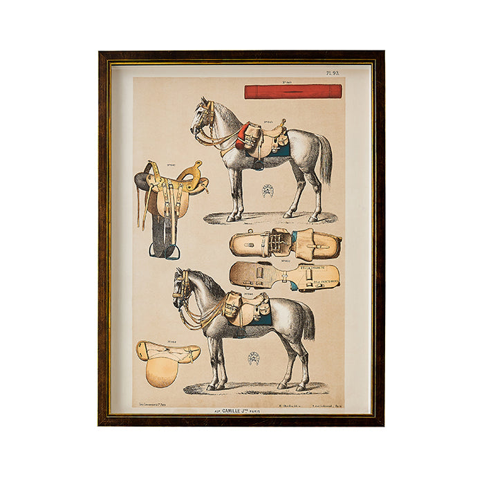Equestrian Print III