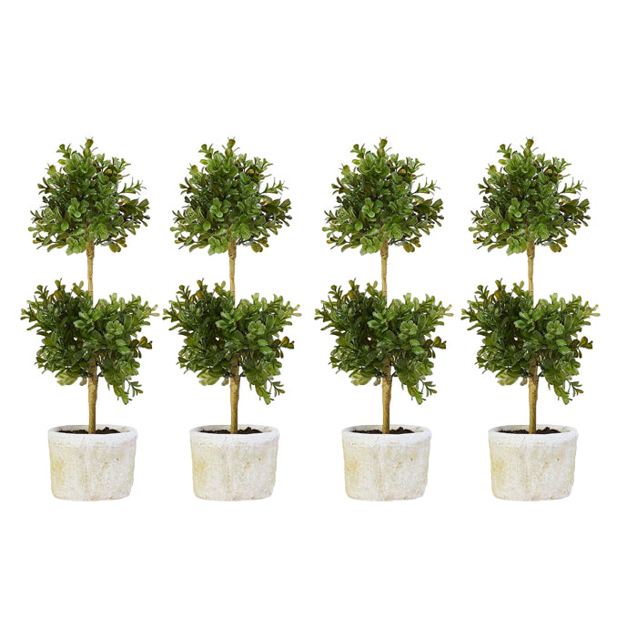 Double Boxwood Topiary Set