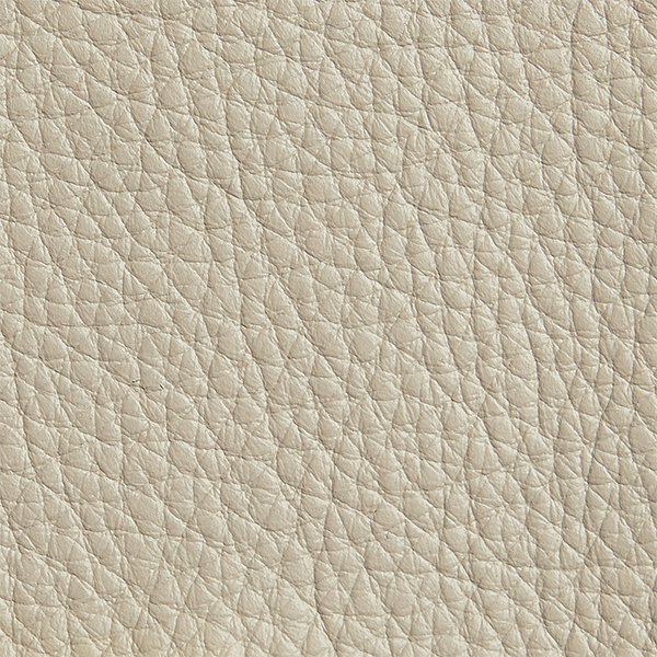 Textured Shell Fabric Swatch